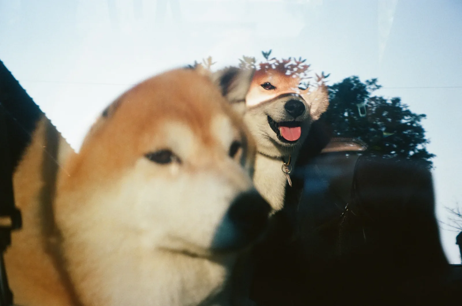留守番